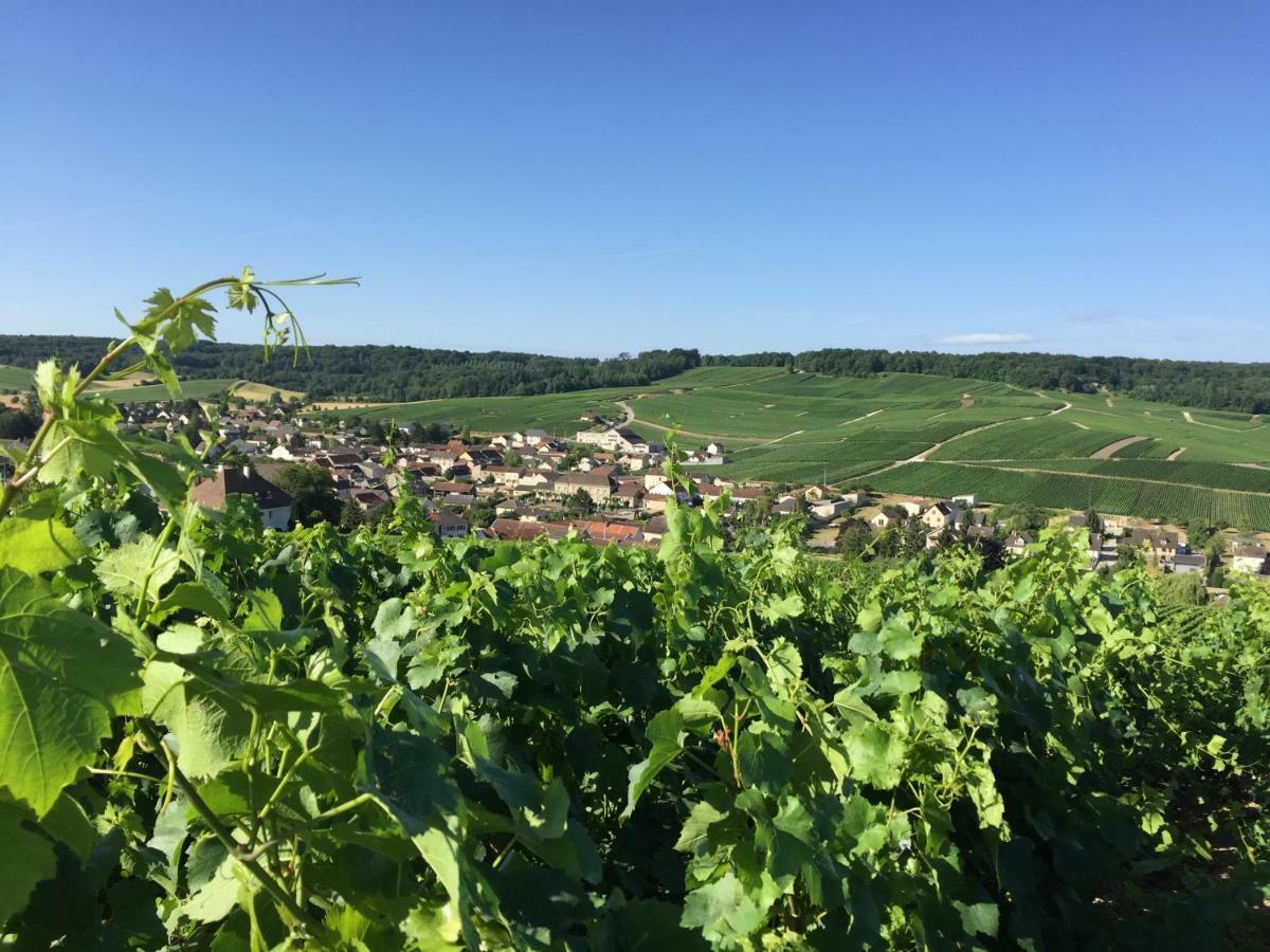 Mille Et Une Bulles 51 Brugny-Vaudancourt Kültér fotó